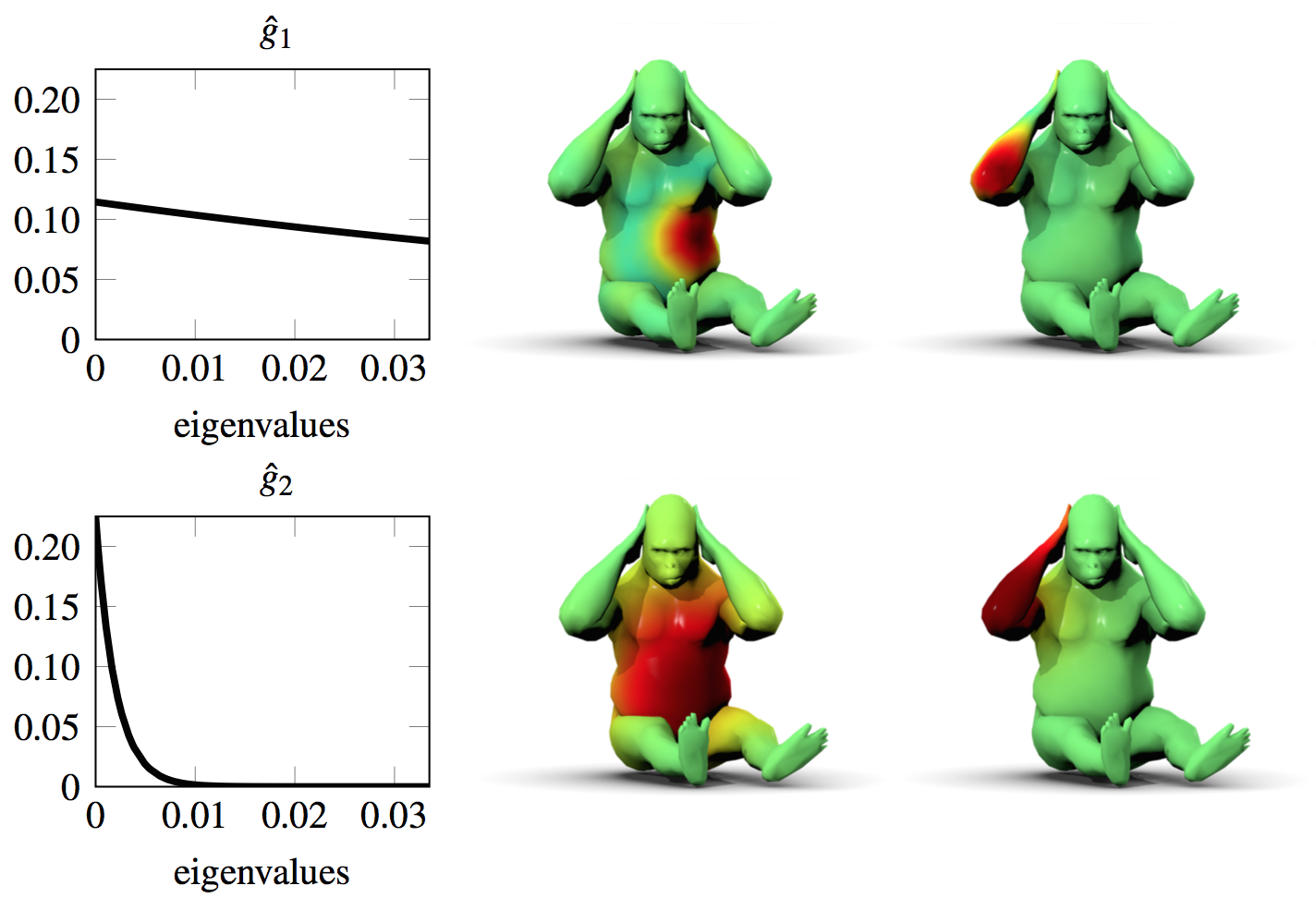 Windowed Fourier atoms on gorilla shape